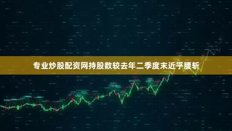 专业炒股配资网持股数较去年二季度末近乎腰斩